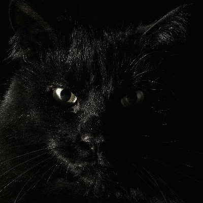 ___1anna151___'s profile picture. ❤️ Memecoin