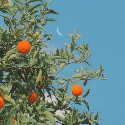 witch_taotao's profile picture. revolution of our times