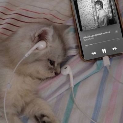 volcanoasis's profile picture. IE