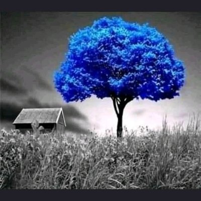 DavidJe54025776's profile picture. Woman of my sey