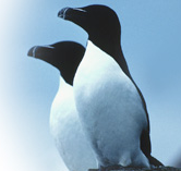 yno_'s profile picture. 