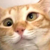 BiAsaNd (@bslx12345) 's Twitter Profile