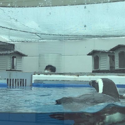 rogicalnote's profile picture. https://t.co/FbDYRey5AG