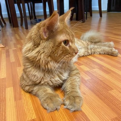 oloruntoba_jo's profile picture. 👨🏾‍💻 • web3