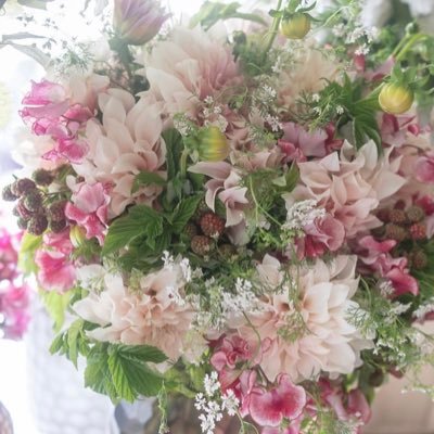 HotMilk0709's profile picture. 日本語学校の専任講師😃 ／個人的にオンラインレッスンも🍀