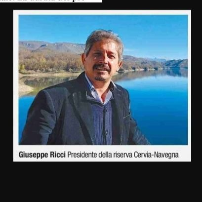 RicciGius's profile picture. Business Development Dax Solar