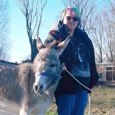 24 | 🇳🇱 | Donkey Lover trying to learn more about Donkeys | Works at Petting Zoo with Donkey Sisters Bibi & Momo & co. ♡