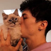 Ryan Robertson (@sonnydrobertson) 's Twitter Profile