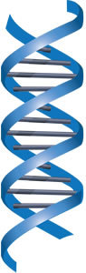 Kensington Bio is an Independent Mfg Rep for companies who provide scientists and researchers with technology and products for the laboratory.
