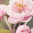 agatsjewelry's profile image