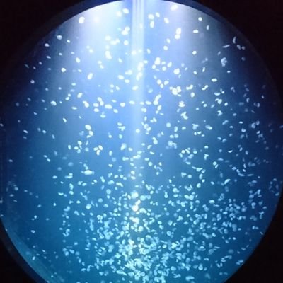 kih_ew's profile picture. 40代半ば高校生子持ち。
道産子。感嘆詞は「なまら」より「わや」。
三方六とやきそば弁当love😍
ヒゲダンが心の支え。
障害福祉サービス事業所勤務。
社会福祉士、精神保健福祉士、第5回公認心理師試験合格（Gルート）