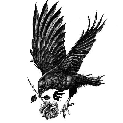 The Crow ☕