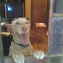 Obi Wan Smith - @Obithelab - Twitter