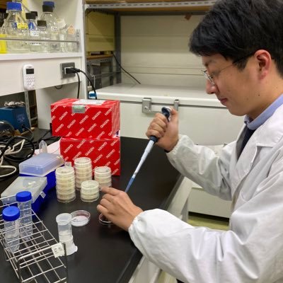 hiraga1692's profile picture. PhD student at Hiroshima univ./Worm team(Dr. Misako Okumura,@Pristionchus)/Pristionchus pacificus/Developmental plasticity/Bioinfomatics/Computational biology