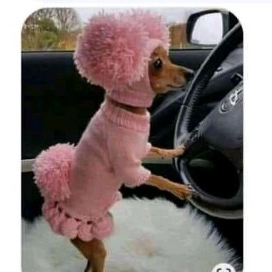 Njeri_Bobo's profile picture. On a Software Engineering learning journey with @alx_africa and @holbertonschool, and the end goal is to become a skilled software engineer.