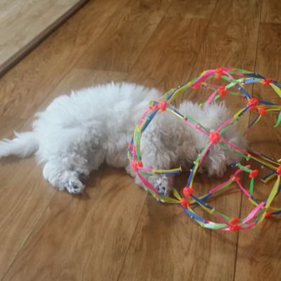 syelgbin's profile picture. 셹빈입니다