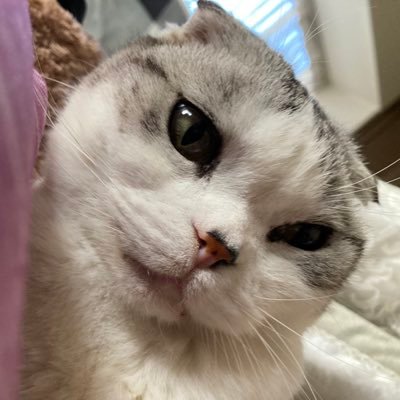 natty_58's profile picture. 