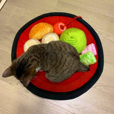 おもろライブイベントをつくりたい人。ハードコアとかメタルコアとか好き VOR/PTP/SASN/SiM/CNA/INViSBL/提婆達多/DAD/etc...
