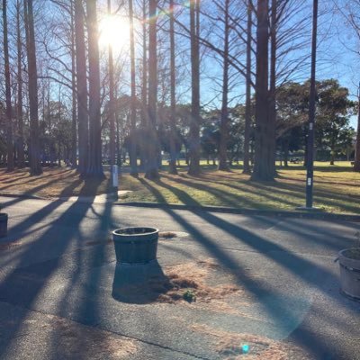須賀 真 Makotosuga 000 Twitter 須賀 真 Makotosuga 000 Twitter