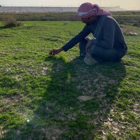 خالد السهلي (@alhfraoi71) 's Twitter Profile Photo