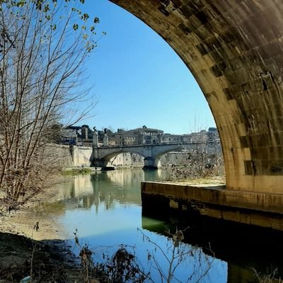 Maria83990231's profile picture. 