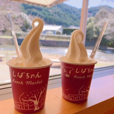 まっぽちゃんさんのプロフィール画像