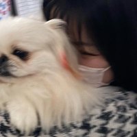 せいら (@mame0103__e) 's Twitter Profile