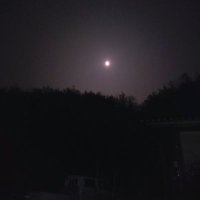 빈들 (@chodong01) 's Twitter Profile Photo
