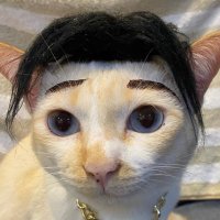 jzoe (@spicyjer) 's Twitter Profile Photo