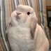 Mmnnpp (@mmnnpp18mmnnpp) Twitter profile photo