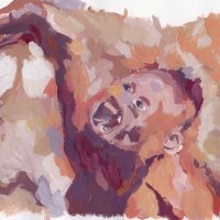 Edu (@edu_origins) 's Twitter Profile