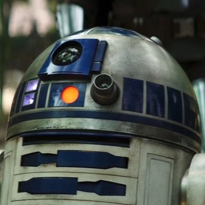 fergusnolan1's profile picture. 