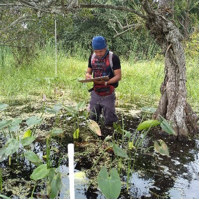 PhD Student at Instituto de Ecología (Inecol) | Coastal Freshwater Wetlands | Tropical Wetlands | 🇲🇽