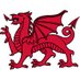 Free Wales Now 🟩🟥🐉 (@freewalesnow) Twitter profile photo Free Wales Now 🟩🟥🐉 (@freewalesnow) Twitter profile photo
