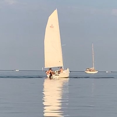 mmarcilese's profile picture. 