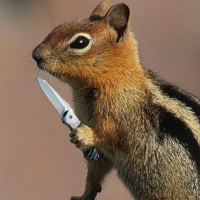 KyloRich's profile picture. Master of Squirrel