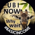 🗣 📣 UBI NOW (@UBI_NOW) Twitter profile photo