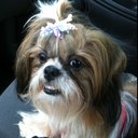 Pam Cobb - @PamsEmbroidery - Twitter