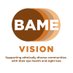 BAMEVision (@bamevision) Twitter profile photo