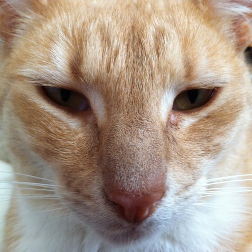 Strob79's profile picture. 