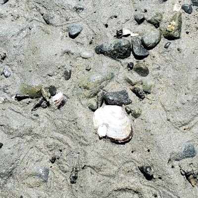 gilliankenny66's profile picture. 