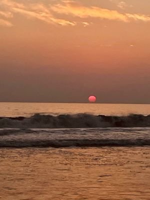 akimpech2022's profile picture. Estoy a favor de la verdad, la diga quien la diga. Estoy a favor de la justicia, a favor o en contra de quien sea. Malcom X