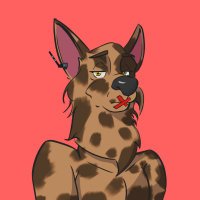 sh1llville ($BONKBOY) (@sh1llville) 's Twitter Profile Photo