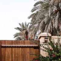ش (@sh_966) 's Twitter Profile