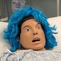 UWS Clinical Skills and Simulation(@UWSClinicalSim) 's Twitter Profile Photo