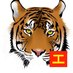 Tiger ่่ (@cn_tigerry) Twitter profile photo Tiger ่่ (@cn_tigerry) Twitter profile photo