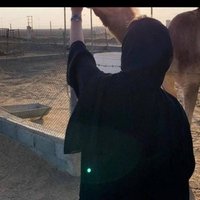 Noura (@noura59962750) 's Twitter Profile Photo