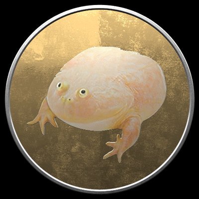 Wednesday Tokenさんのプロフィール画像