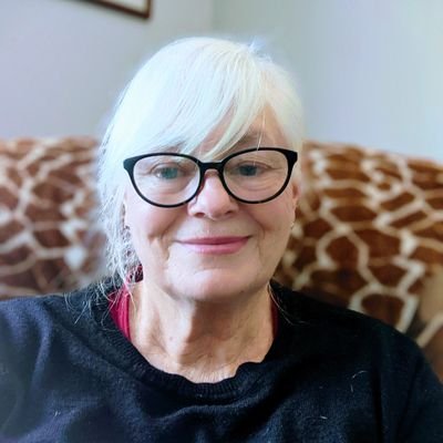 Irish Canadian, Techie, artist, dog/animal lover, Indie dyer of yarn and fibre, hand spinning teacher, just plain oddball :-)
