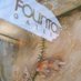 wigtonsfountaingallery (@wigtongallery) Twitter profile photo wigtonsfountaingallery (@wigtongallery) Twitter profile photo